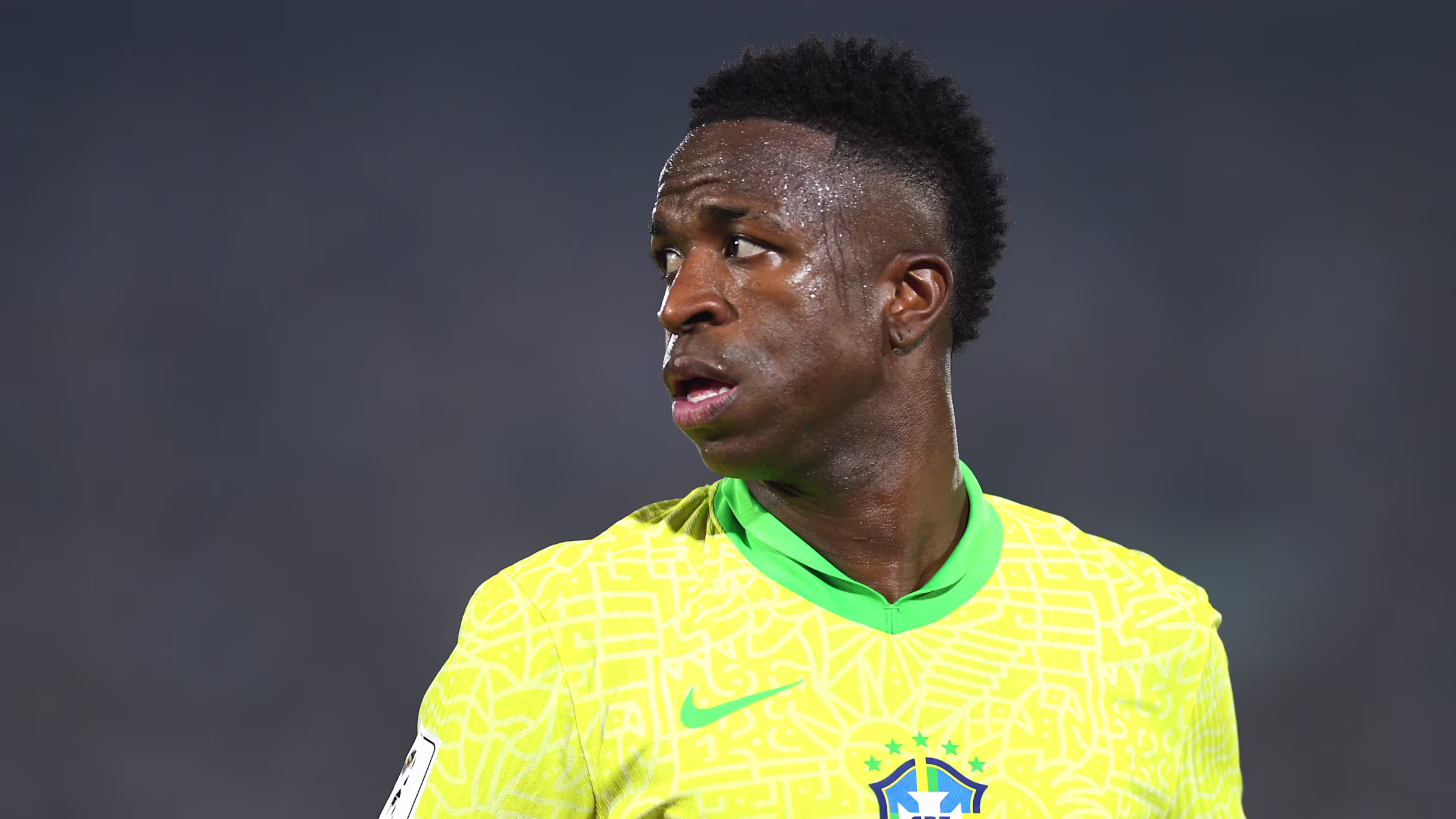 Fakta Seputar Vinicius Jr