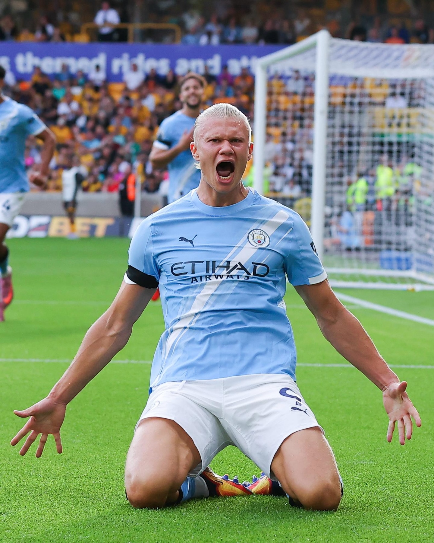 Erling Haaland Transfermarkt